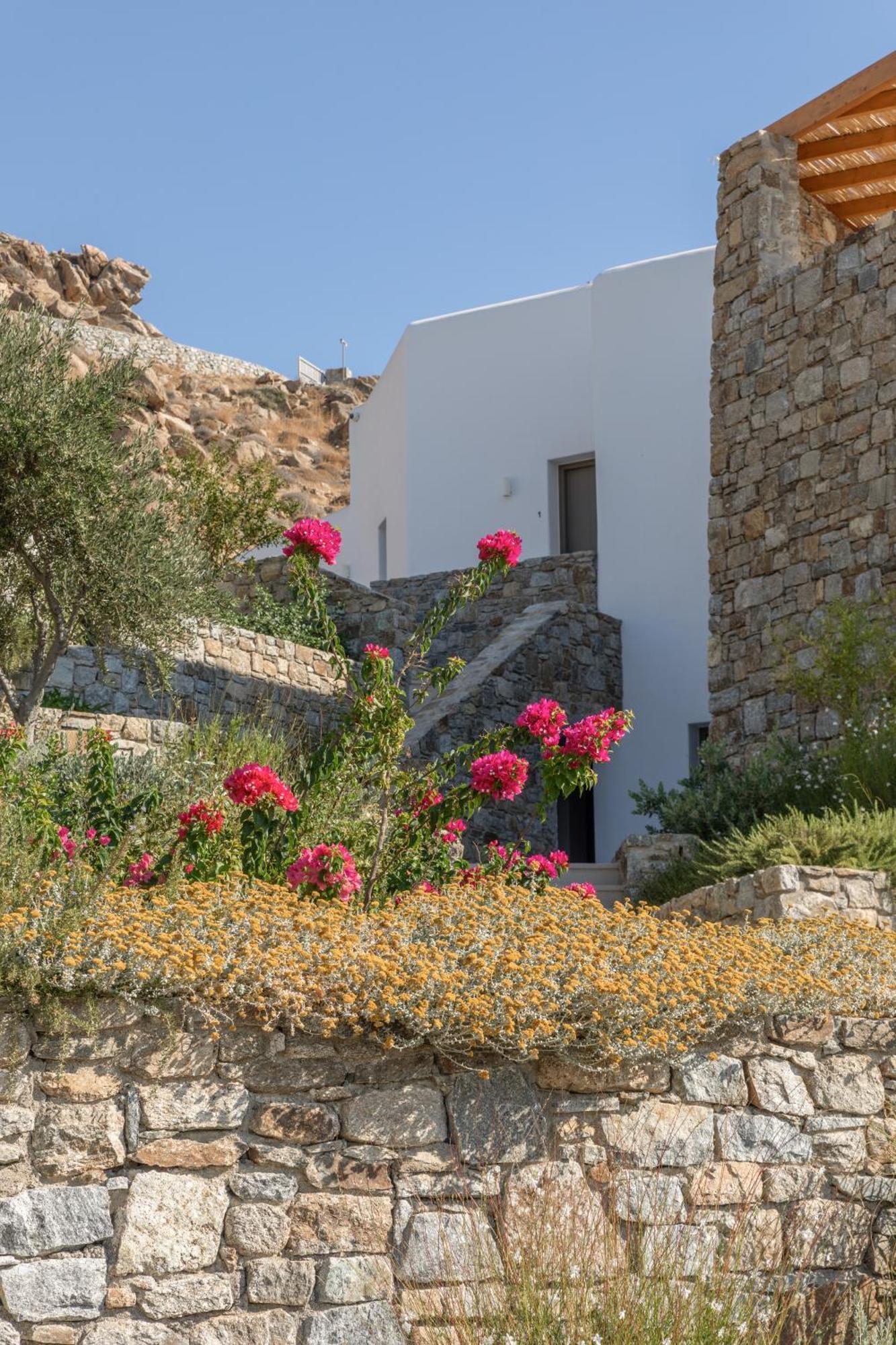 Calma Suites Mykonos Psarou  Bagian luar foto